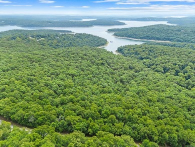 An opportunity like this is incredibly rare near Norfork Lake - photo 9
