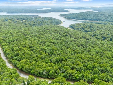 An opportunity like this is incredibly rare near Norfork Lake - photo 10