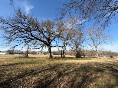 1 Acre Lake Subdivision Lot - The Shores - Corsicana, TX - photo 10