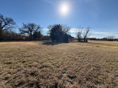 1 Acre Lake Subdivision Lot - The Shores - Corsicana, TX - photo 12