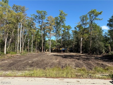 Lehigh Acres Area Lot For Sale in Lehigh Acres Florida