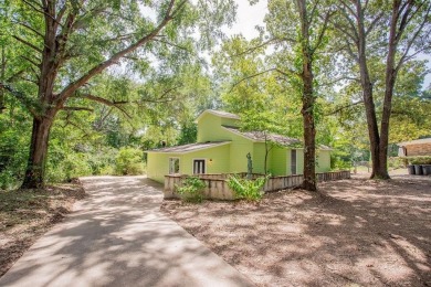Lake Home For Sale in Hideaway, Texas
