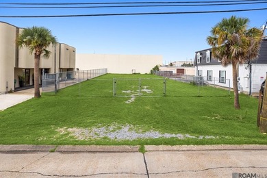 LOCATION, LOCATION, LOCATION!! Fully cleared lot in Fat City - photo 2