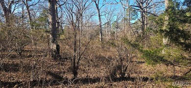 9.4 acres m/l of wooded land located just outside of the city - photo 13
