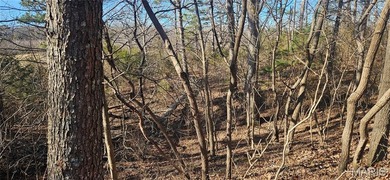 9.4 acres m/l of wooded land located just outside of the city - photo 14