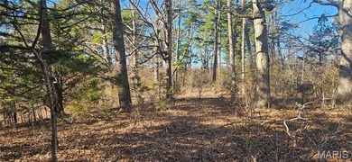 9.4 acres m/l of wooded land located just outside of the city - photo 15