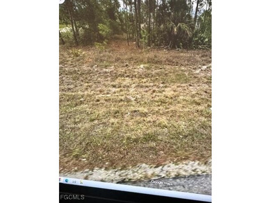 Lehigh Acres Area Lot For Sale in Lehigh Acres Florida