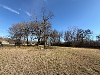 1 Acre Lake Subdivision Lot - The Shores - Corsicana, TX - photo 33