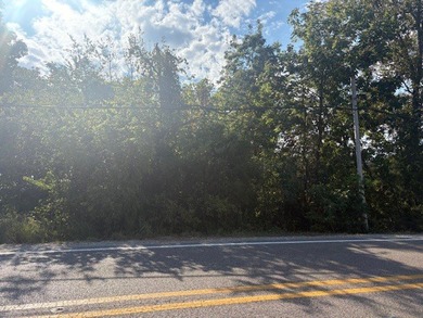 1.68-acre Norfork River lot. In town and outside a flood zone - photo 2