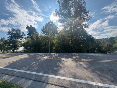 1.68-acre Norfork River lot. In town and outside a flood zone - photo 3