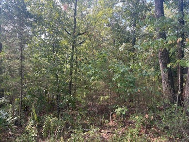 1.68-acre Norfork River lot. In town and outside a flood zone - photo 5