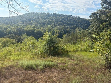 1.68-acre Norfork River lot. In town and outside a flood zone - photo 6