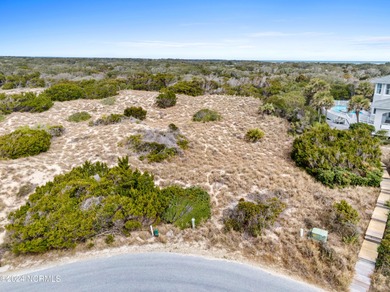 Gorgeous, spacious high dunes lot with indefinitely unobstructed - photo 4