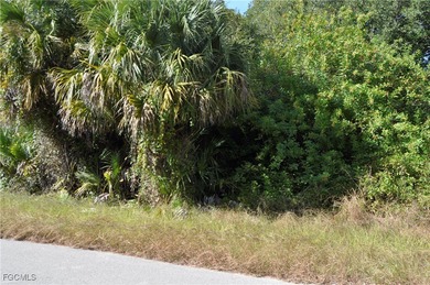 Lehigh Acres Area Lot For Sale in Lehigh Acres Florida