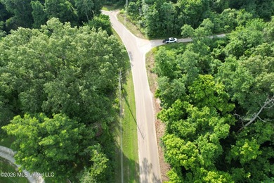 Discover an exceptional 295+/- acre recreational and hunting - photo 11