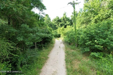 Discover an exceptional 295+/- acre recreational and hunting - photo 12