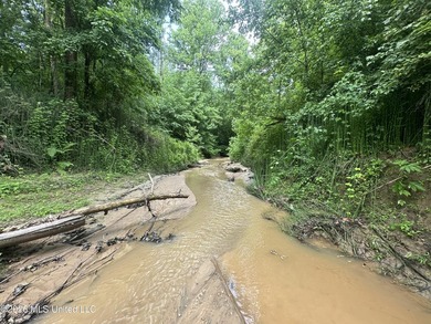 Discover an exceptional 295+/- acre recreational and hunting - photo 14