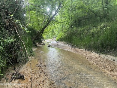 Discover an exceptional 295+/- acre recreational and hunting - photo 15