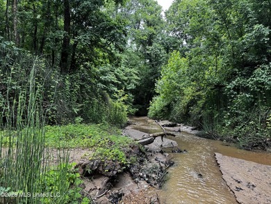 Discover an exceptional 295+/- acre recreational and hunting - photo 17