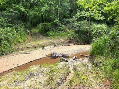 Discover an exceptional 295+/- acre recreational and hunting - photo 18