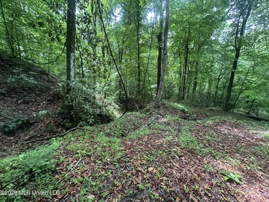 Discover an exceptional 295+/- acre recreational and hunting - photo 19