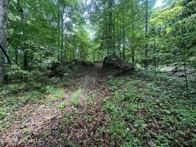 Discover an exceptional 295+/- acre recreational and hunting - photo 20