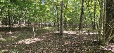 Freedom Lake  Acreage For Sale in Dunlap Tennessee