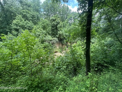 Discover an exceptional 295+/- acre recreational and hunting - photo 21