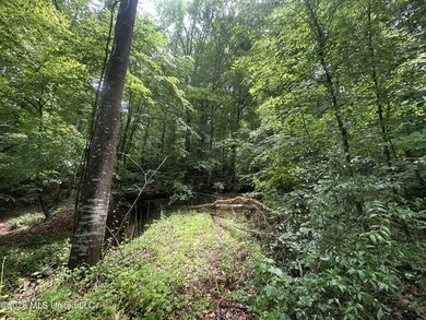 Discover an exceptional 295+/- acre recreational and hunting - photo 22