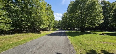 Beautiful 2.07 acre lot in Stone Creek Cabins! Lot is fully - photo 3