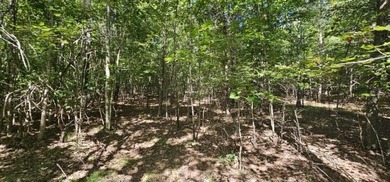 Beautiful 2.07 acre lot in Stone Creek Cabins! Lot is fully - photo 4