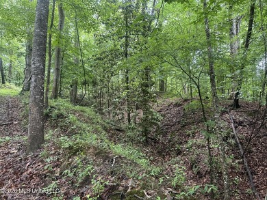 Discover an exceptional 295+/- acre recreational and hunting - photo 24