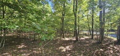 Beautiful 2.07 acre lot in Stone Creek Cabins! Lot is fully - photo 5
