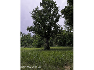 Discover an exceptional 295+/- acre recreational and hunting - photo 25