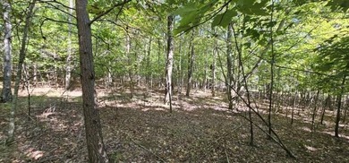 Beautiful 2.07 acre lot in Stone Creek Cabins! Lot is fully - photo 6