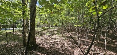 Beautiful 2.07 acre lot in Stone Creek Cabins! Lot is fully - photo 7
