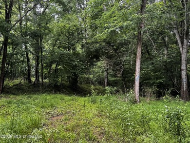 Discover an exceptional 295+/- acre recreational and hunting - photo 27