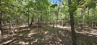 Beautiful 2.07 acre lot in Stone Creek Cabins! Lot is fully - photo 8
