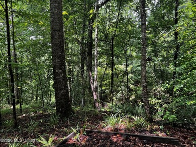 Discover an exceptional 295+/- acre recreational and hunting - photo 28
