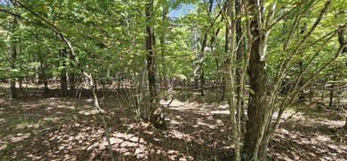 Beautiful 2.07 acre lot in Stone Creek Cabins! Lot is fully - photo 9