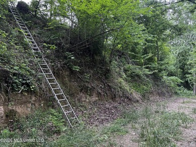 Discover an exceptional 295+/- acre recreational and hunting - photo 29