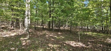 Beautiful 2.07 acre lot in Stone Creek Cabins! Lot is fully - photo 10
