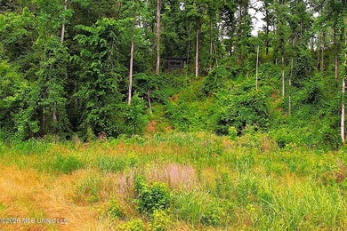 Discover an exceptional 295+/- acre recreational and hunting - photo 30