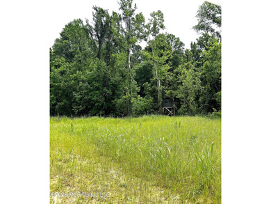 Discover an exceptional 295+/- acre recreational and hunting - photo 32