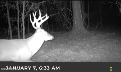 Discover an exceptional 295+/- acre recreational and hunting - photo 34