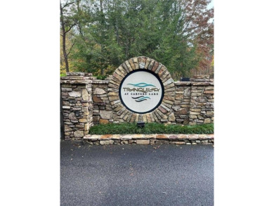 Carters Lake Lot Active Under Contract in Ellijay Georgia