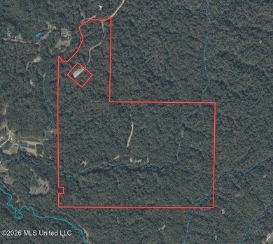 Discover an exceptional 295+/- acre recreational and hunting - photo 41