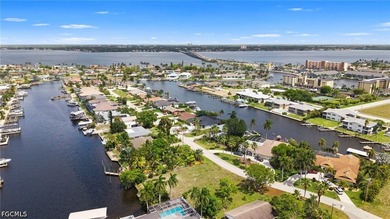 Great waterfront lot offering direct Gulf access with no bridges - photo 6