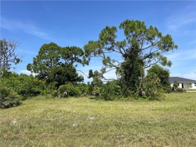 Lake Lot For Sale in Cape Coral, Florida