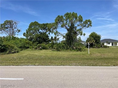 Seize the opportunity to own an exceptional oversized triple lot - photo 2